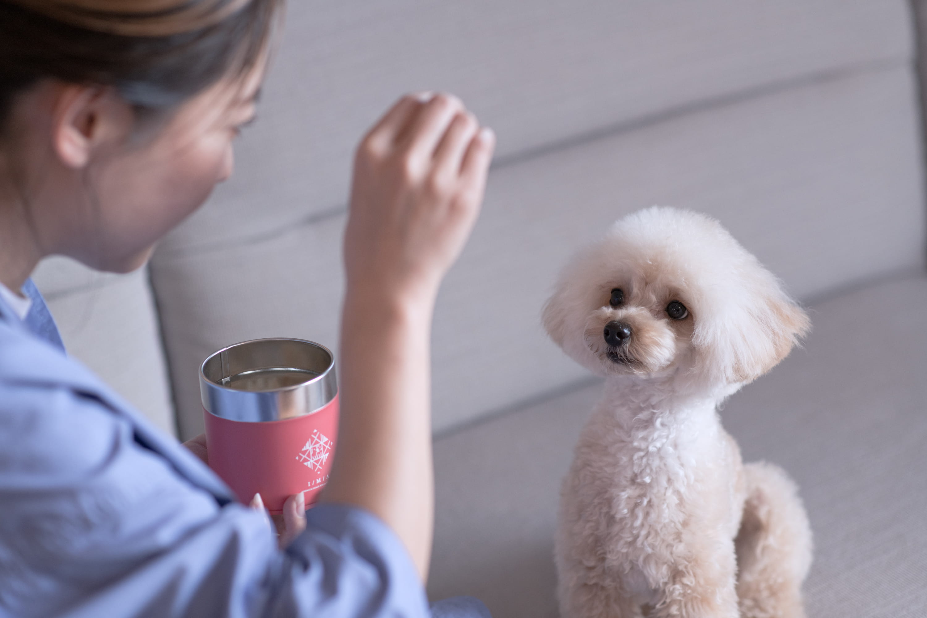 おやつを待つ犬
