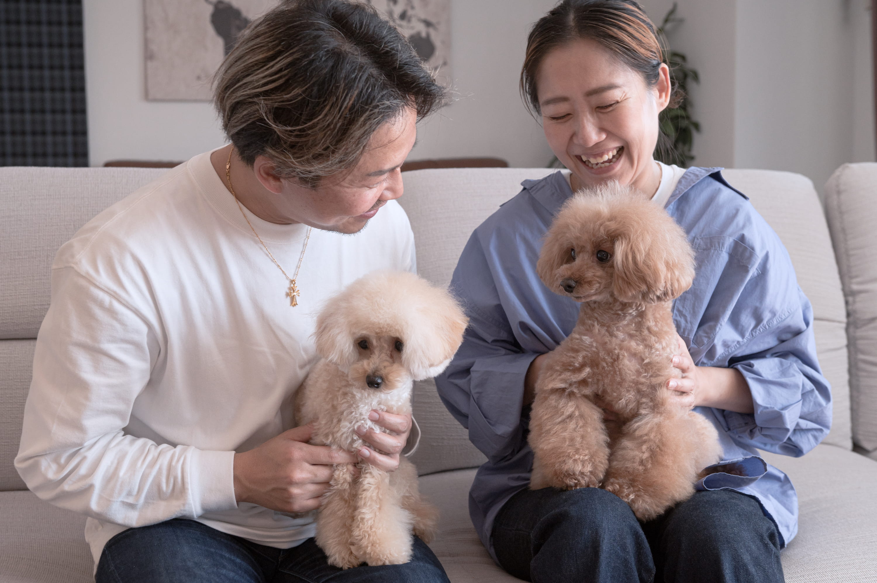 愛犬を膝に乗せている夫婦