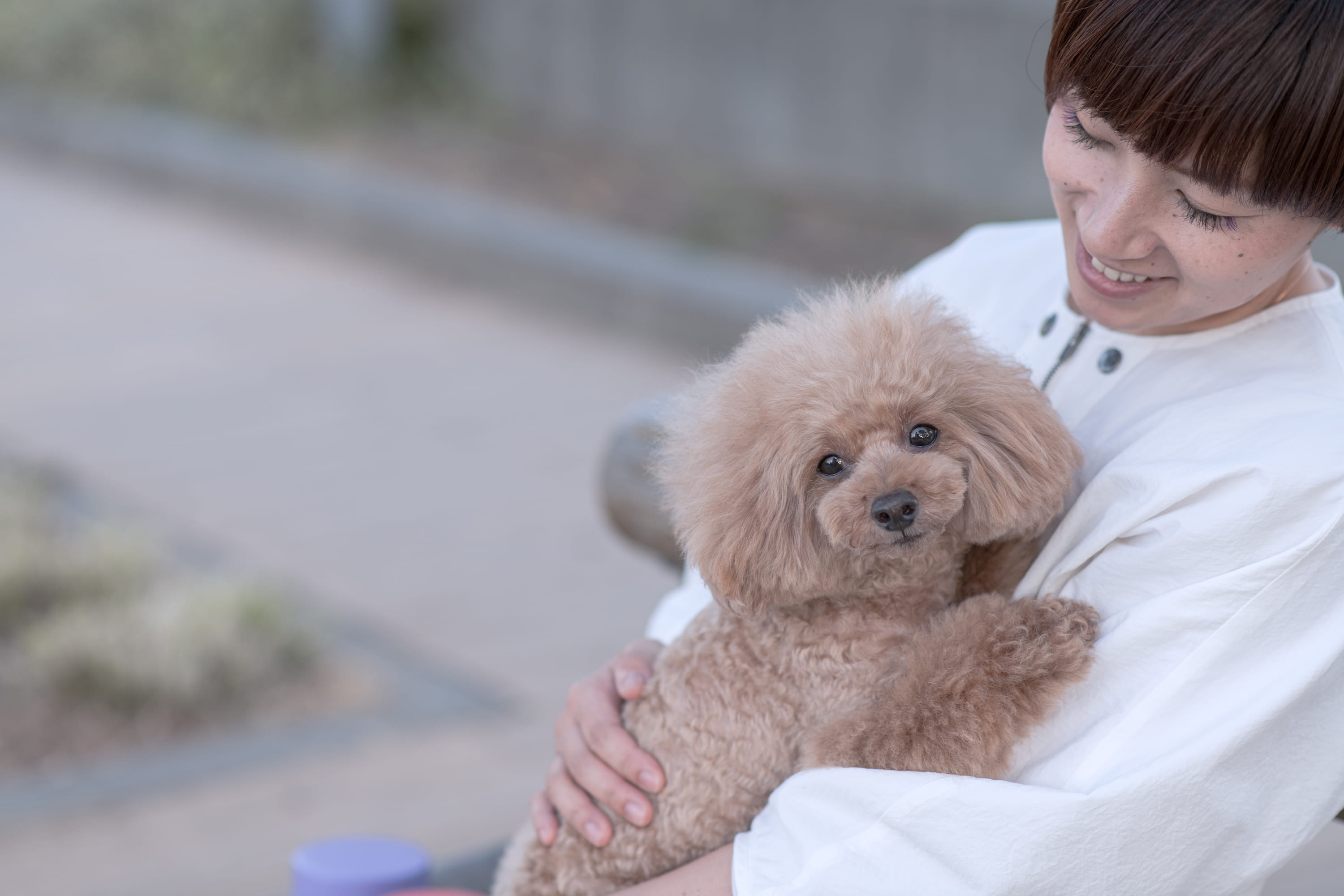 愛犬を愛おしそうに抱いている写真